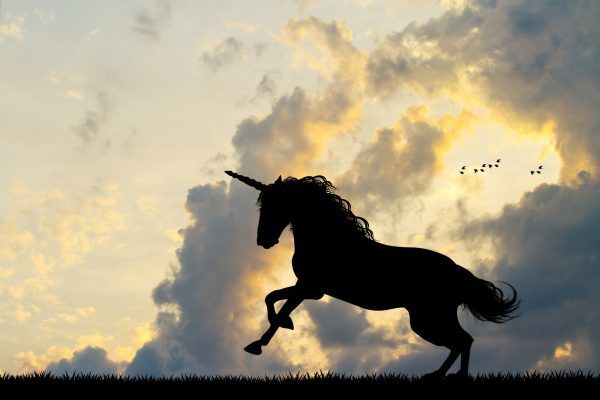 unicorn silhouette at sunset