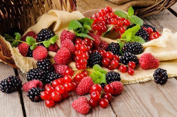 Frutti di bosco