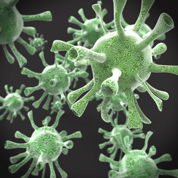 Virus de Gripe
