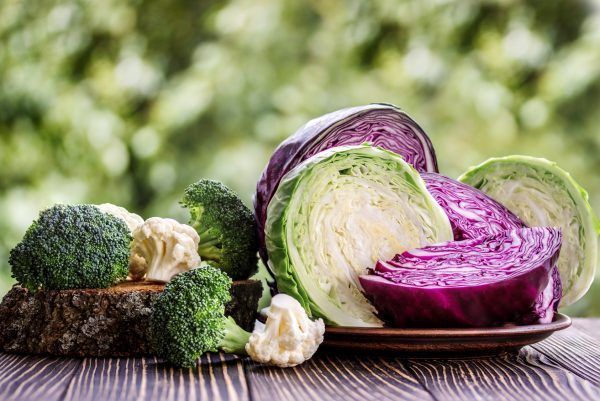 Still life with assortment cabbages on wooden background