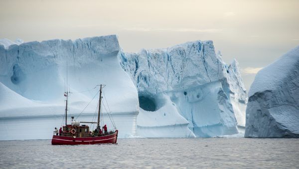 Boot vor Eisbergen in Grnland