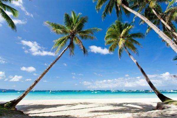 Tropical scene, Philippines, Boracay