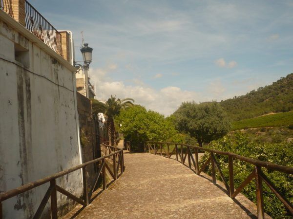 village37695