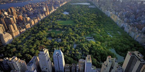central-park-pov