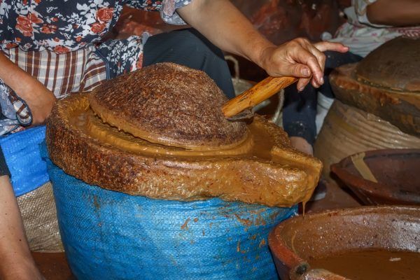 Moroccan worker preparing argan oil using stone mill