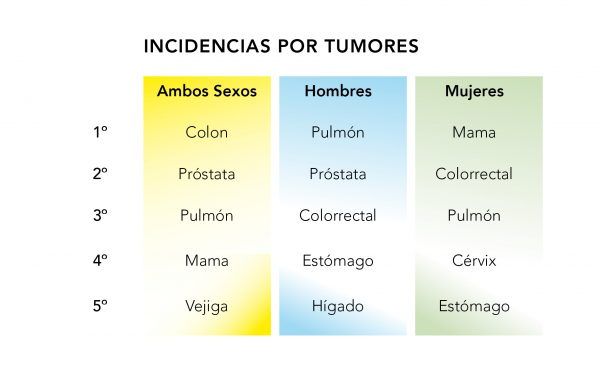 Incidencias tumores2