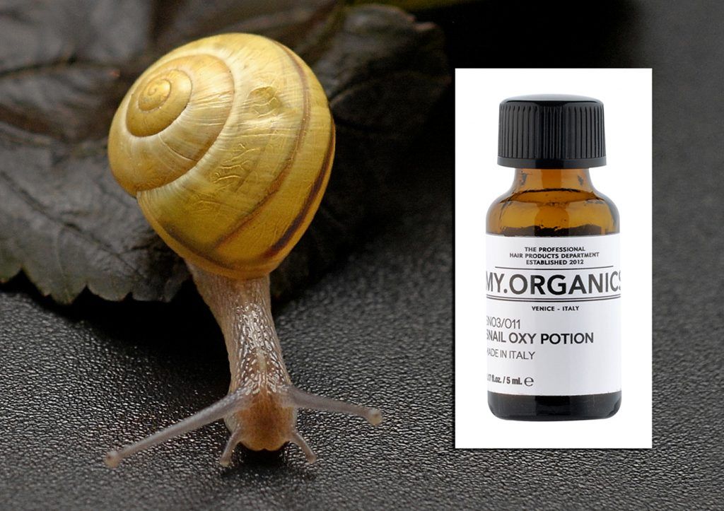 Secretos de tocador: baba de caracol para el pelo