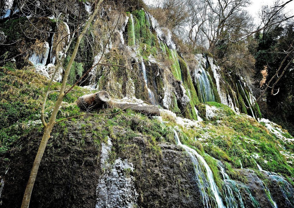 Las 12 campanadas en plena naturaleza