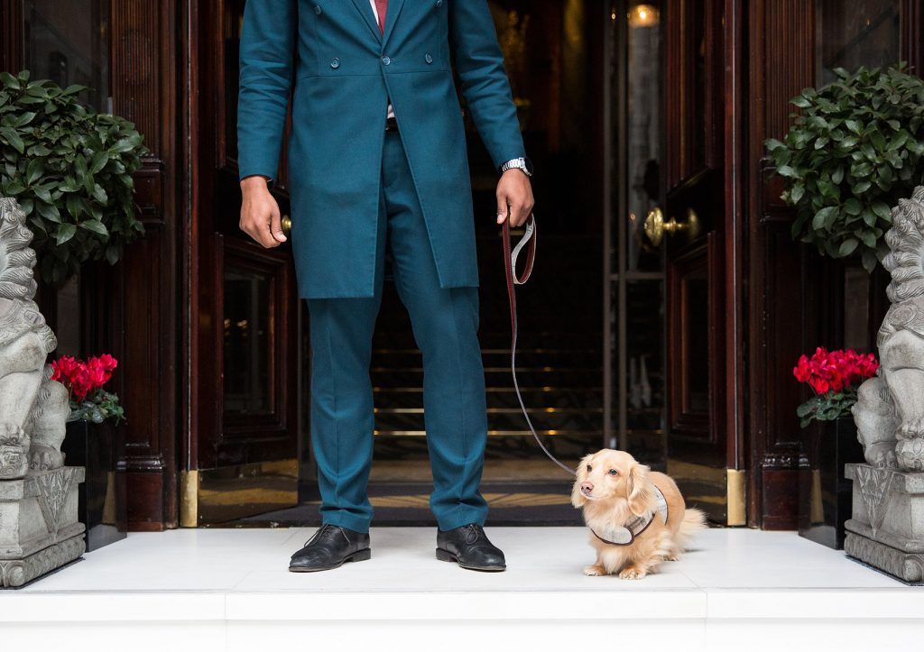 Mandarin Oriental de Londres, amigo de los perros