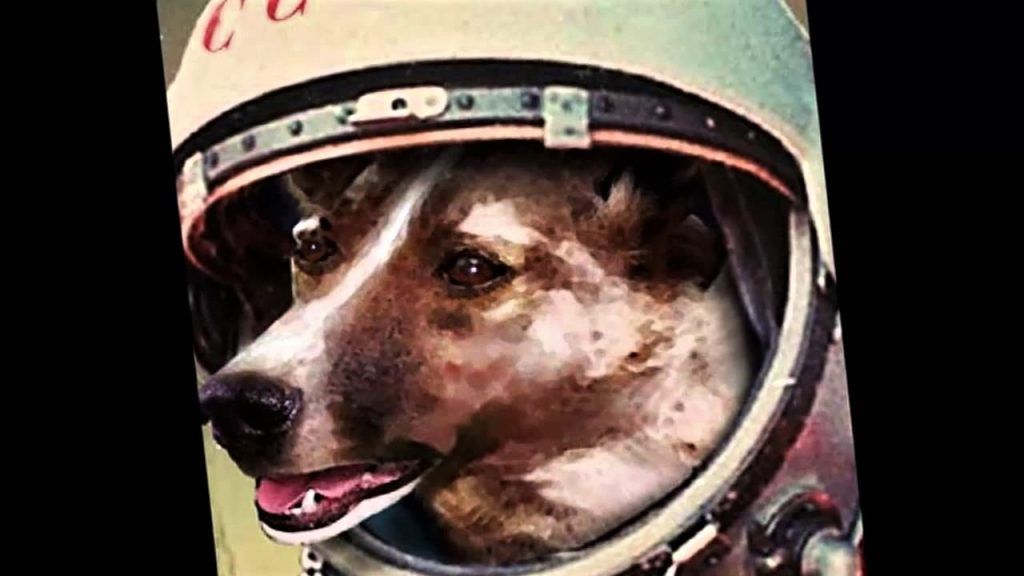 La histórica misión espacial de la cosmonauta canina Laika