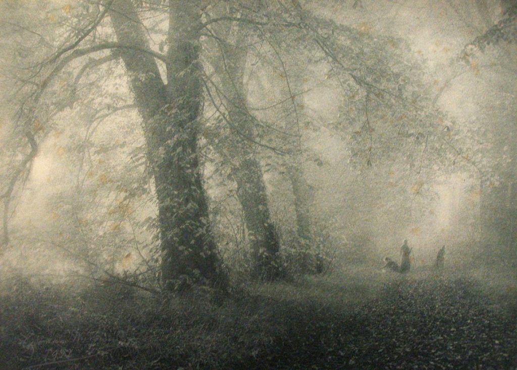 Léonard Misonne, el maestro de la “pintura fotográfica”